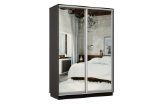 Шкафы-купе 2-х дверные, Шкаф-купе Премьер Лайт МИНИ 04 (04;04) двухдверный