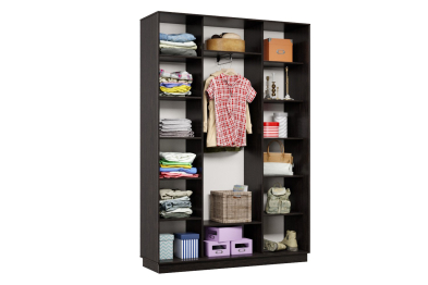 Шкаф-купе Премьер 13 (16;16;16) трёхдверный