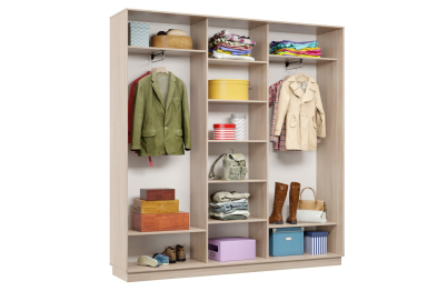 Шкаф-купе Премьер 43 (16;16;16) трёхдверный