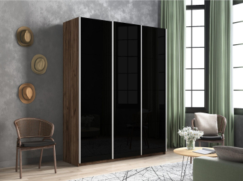 Шкаф-купе Прайм 3-х дверный Стекла черные/Доводчики 210х57х230