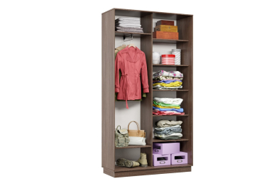 Шкаф-купе Премьер МИНИ 01 (15;15) двухдверный