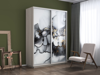 Шкаф-купе Экспресс 1001, 160х45х240