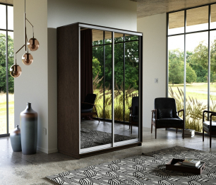 Шкаф-купе Экспресс Экспенс дуо 2200 x 1200 x 600