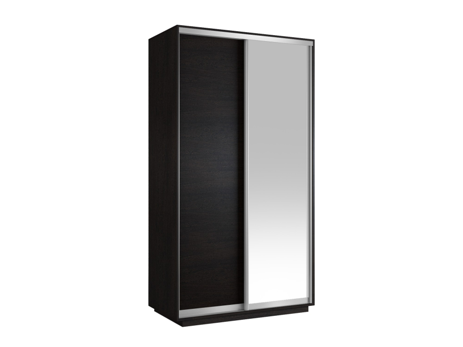 Шкафы-купе 2-х дверные, Шкаф-купе Экспресс Хит 2х дверный ДСП/Зеркало 120х60х220