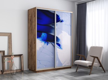 Шкаф-купе Экспресс 1010, 120х60х240